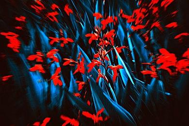 《使命召唤：黑色行动6》本地合作仅面向新平台