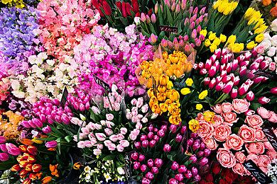 新里程碑 《女神异闻录》系列全球销量突破2200万